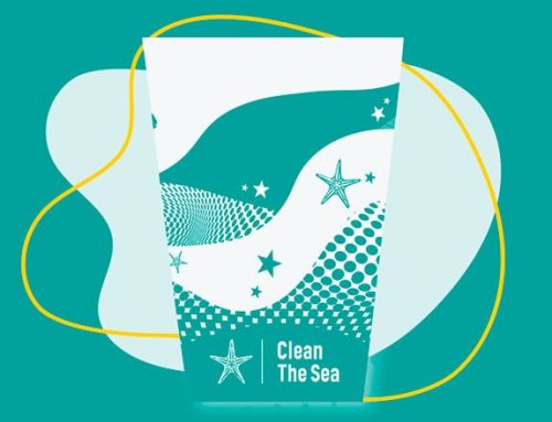 El Festival Portaferrada se une a “Clean The Sea” para preservar el mar Mediterráneo